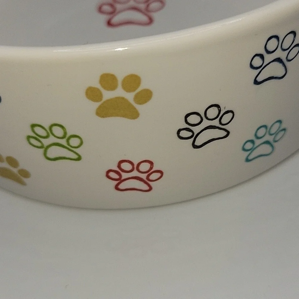Fringe STUDIO dog or cat food bowl.  5